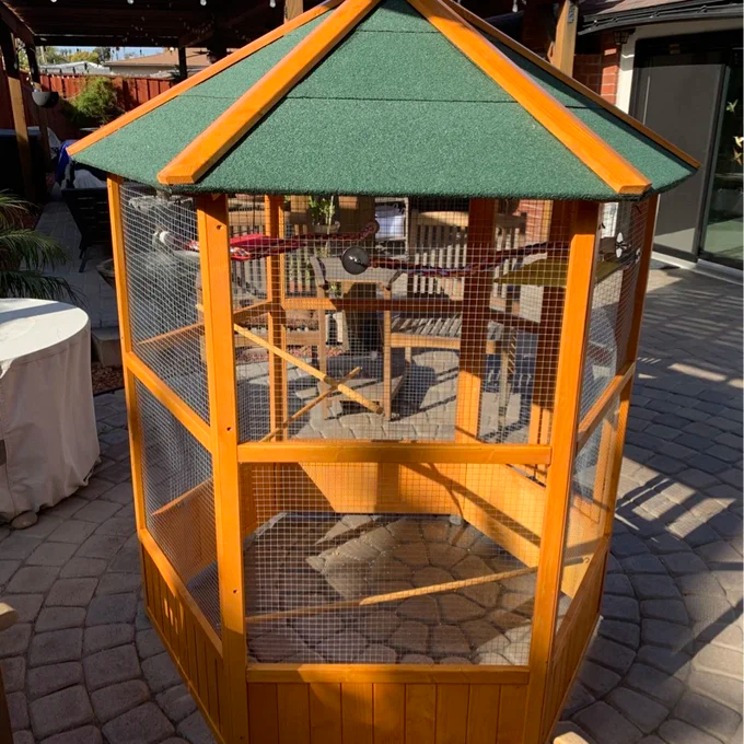 【Pet】Fielding 65'' Pointed Top Flight Cage with Perch