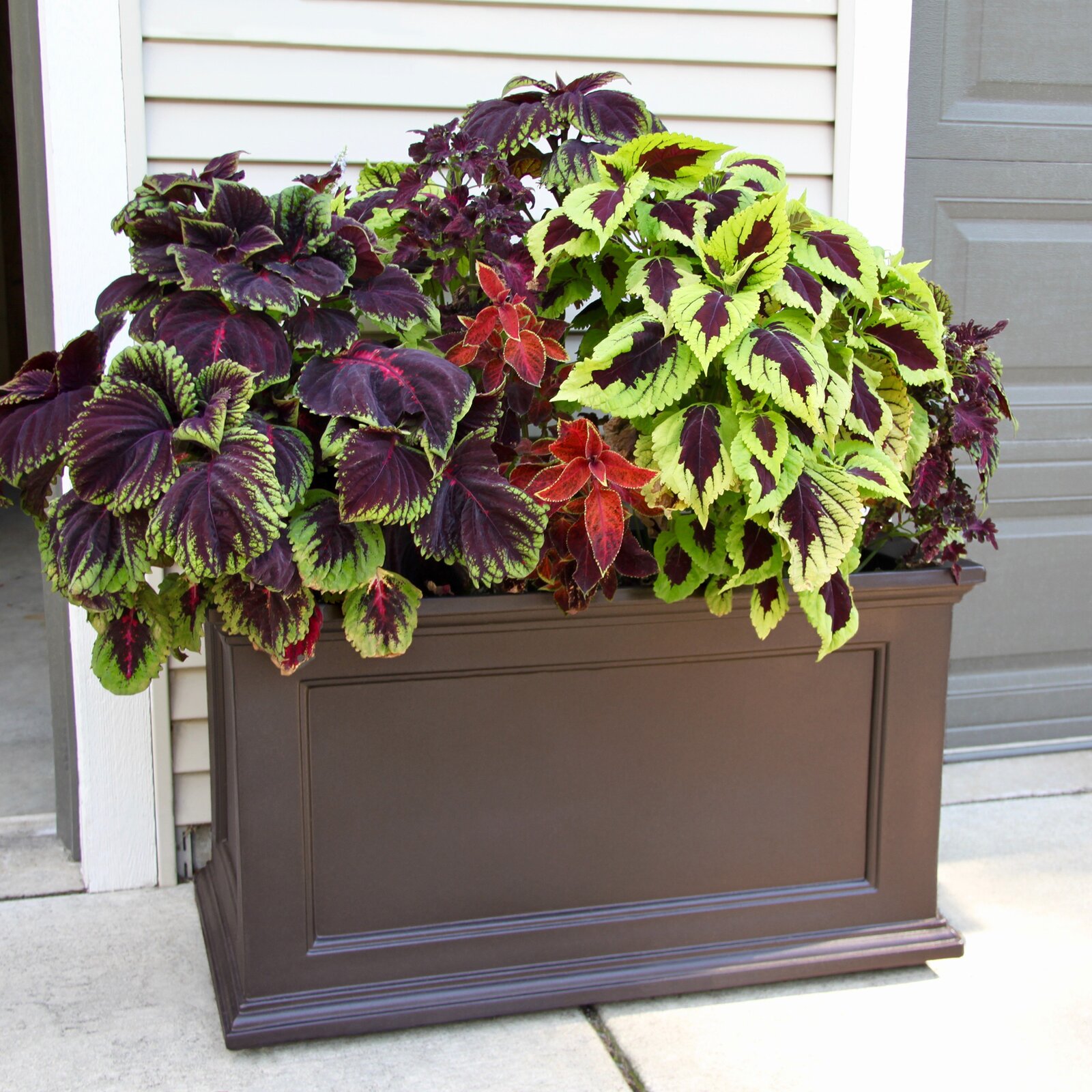 【Home&Garden】Anastasiya Self Watering Plastic Planter Box