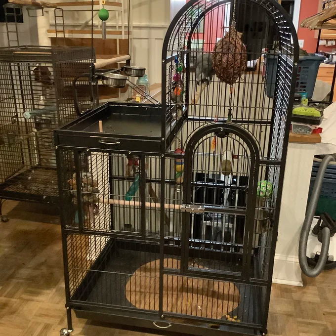 【Pet】Nickelson 66'' Steel Play Top Floor Bird Cage with Wheels