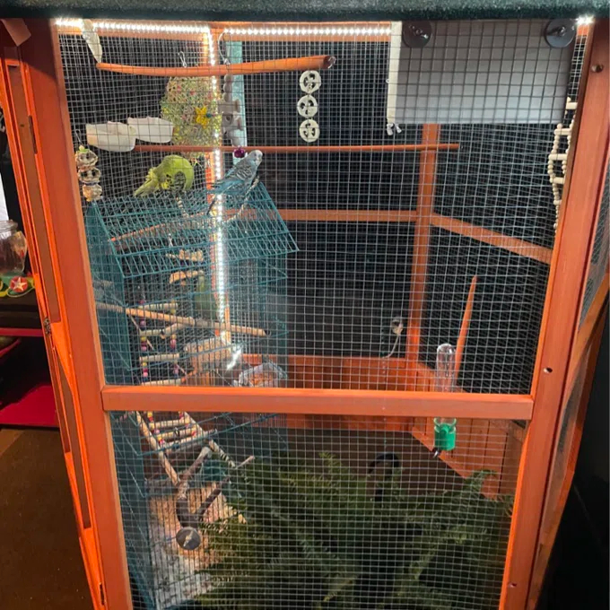 【Pet】Fielding 65'' Pointed Top Flight Cage with Perch