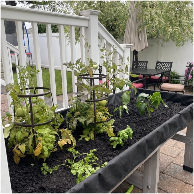 【Home&Garden】Wood Elevated Planter