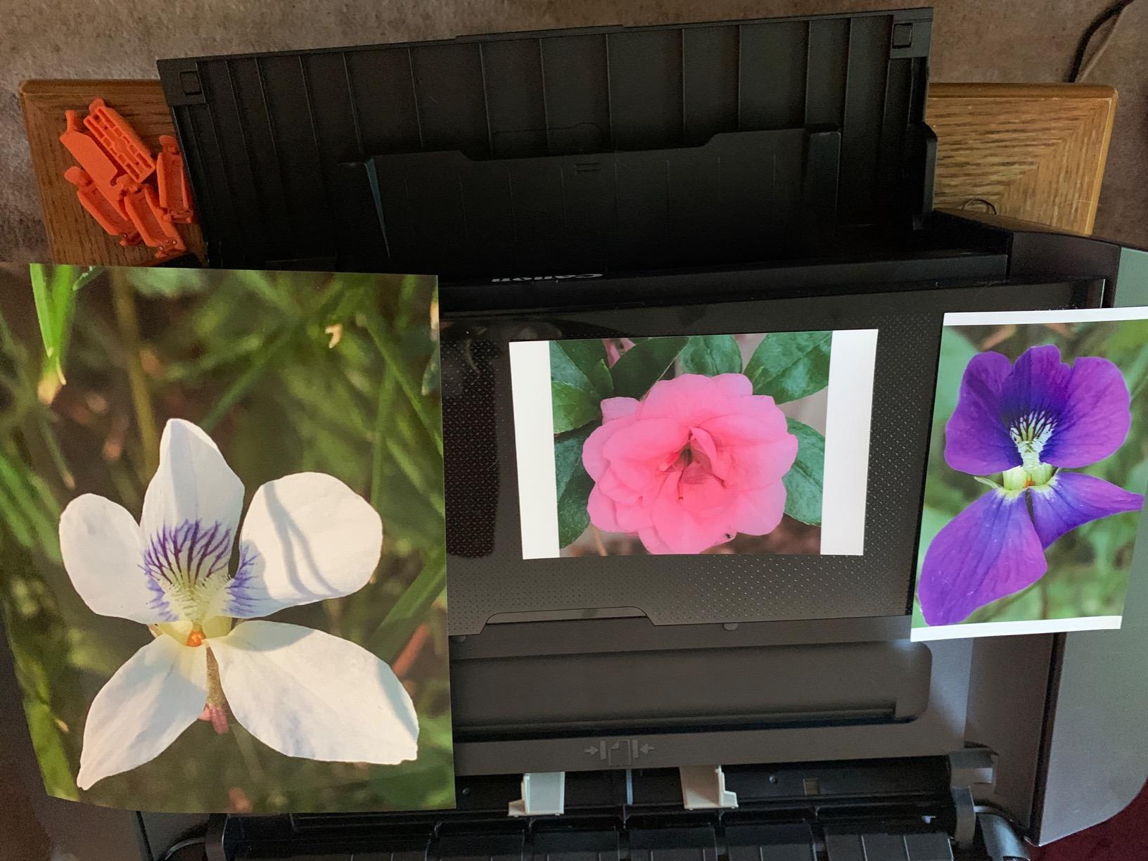 【Electronics】Canon IP8720 Wireless Printer, AirPrint and Cloud Compatible, Black