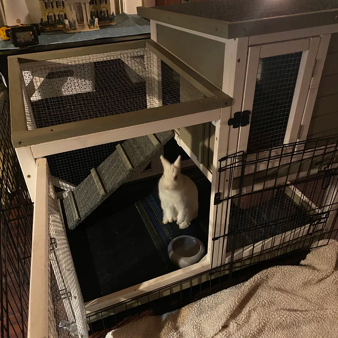 【Pet】Gossy Weather Resistant Rabbit Hutch with Ramp