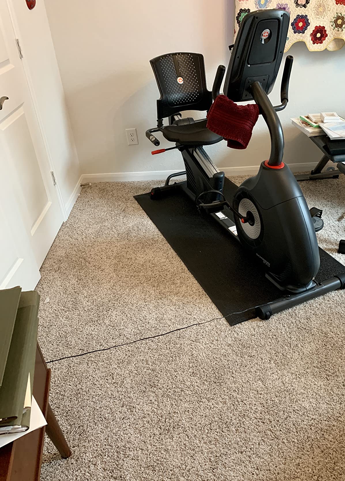 【Sports&Outdoors】Schwinn Recumbent Bike Series