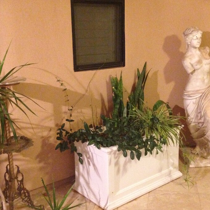 【Home&Garden】Anastasiya Self Watering Plastic Planter Box