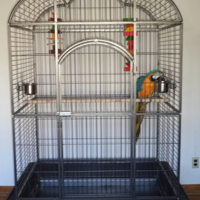 【Pet】Backes 78.25'' Steel Victorian Top Floor Bird Cage with Wheels