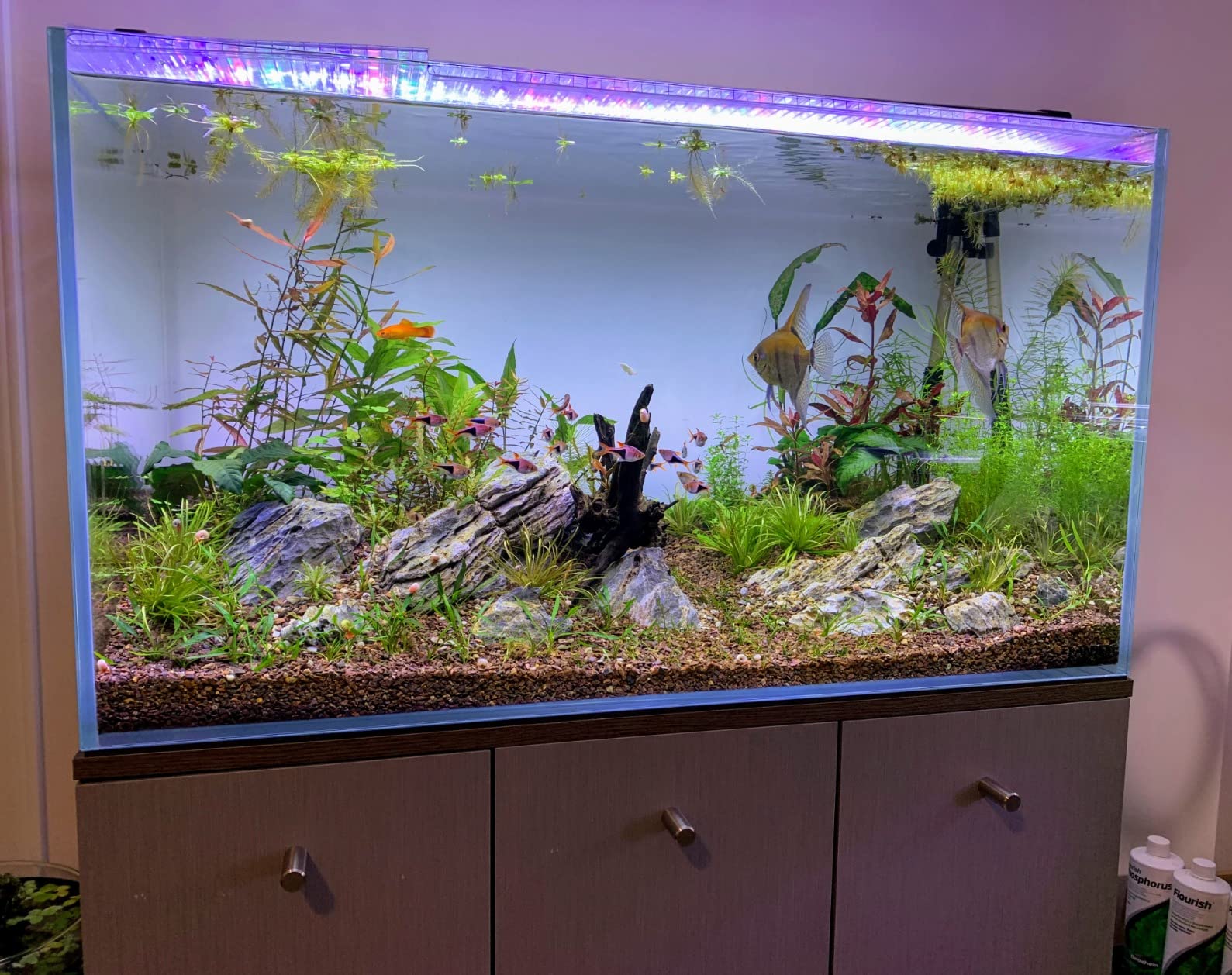 【Pet】120P 72.2 Gallon Rimless Low Iron Aquarium Tank, 47.2