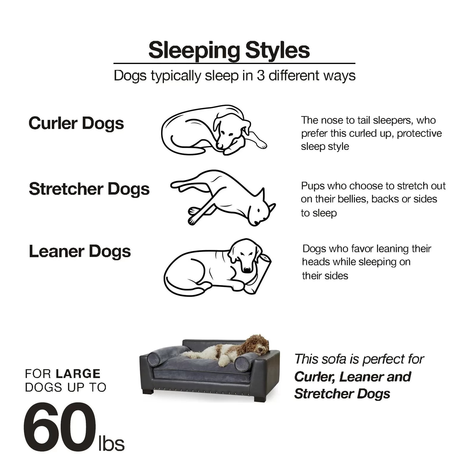 【Pet】Oberle Dog Sofa