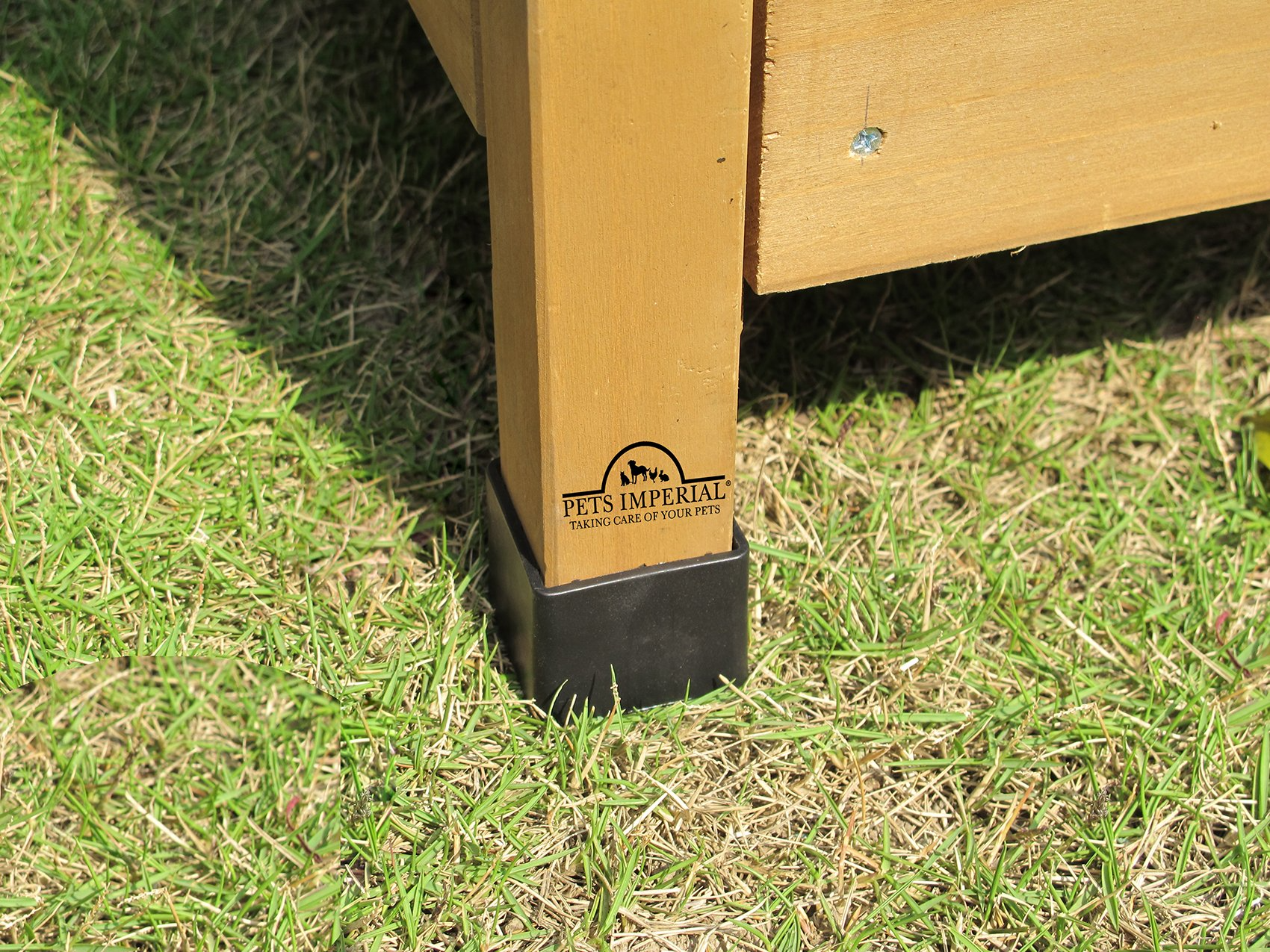 【Pet】Double Savoy Large Chicken Coop with 2 Nest Boxes Suitable Up to 10 Small Birds