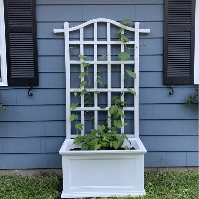 【Home&Garden】Anastasiya Self Watering Plastic Planter Box