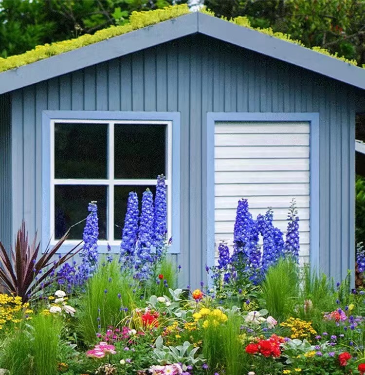 【Home&Garden】Attached slide house, two piece suite