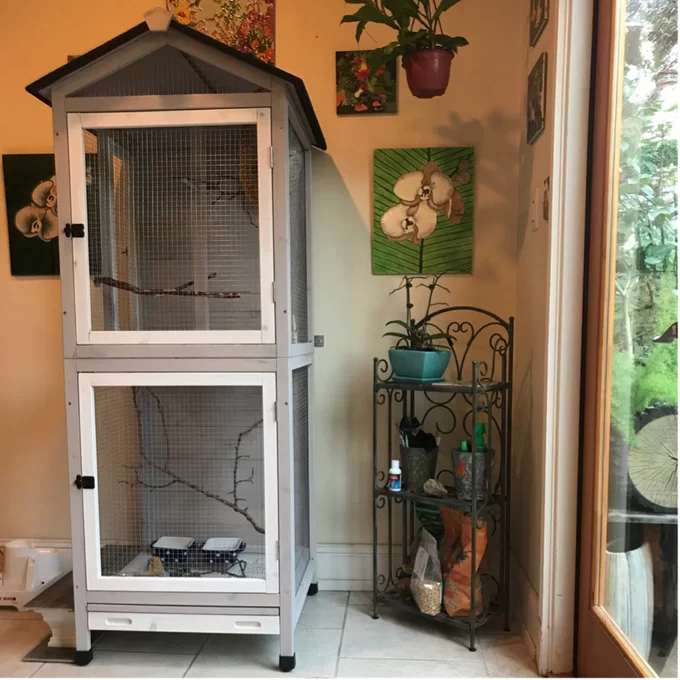 【Pet】Freddy 70'' Pointed Top Flight Cage with Stand