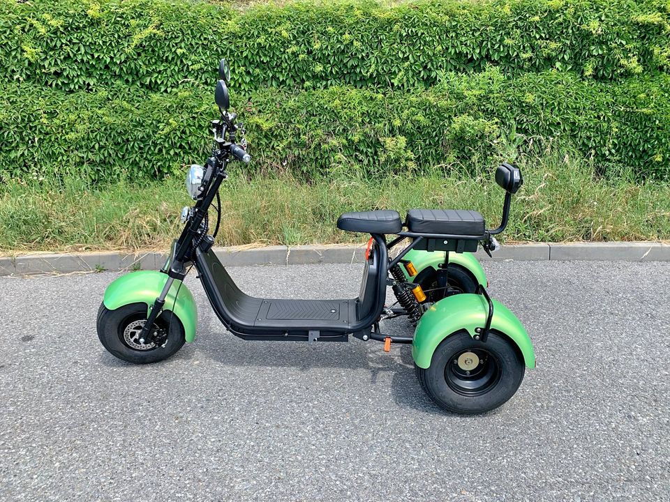 2023 Lera Scooters C4 1000W Red month
