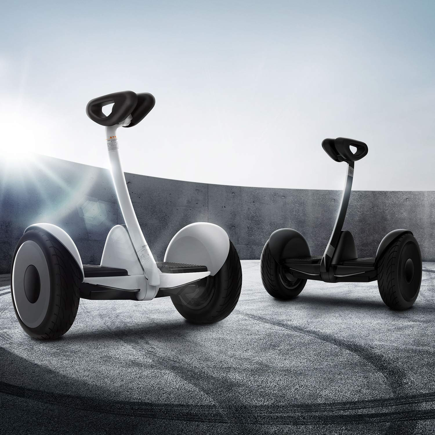 【Sports&Outdoors】Segway Ninebot S Smart Self-Balancing Electric Scooter