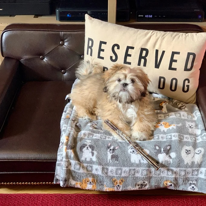 【Pet】Humphery Dog Sofa