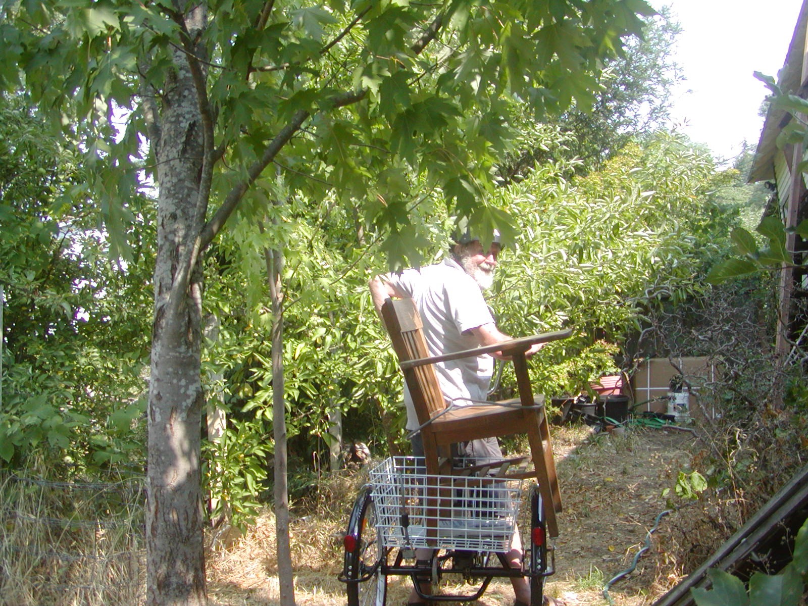 【Sports&Outdoors】3 Wheel Electric Bike for Adults with 250w Motor, Bike Tube, Removable 36V 10Ah Lithium Battery