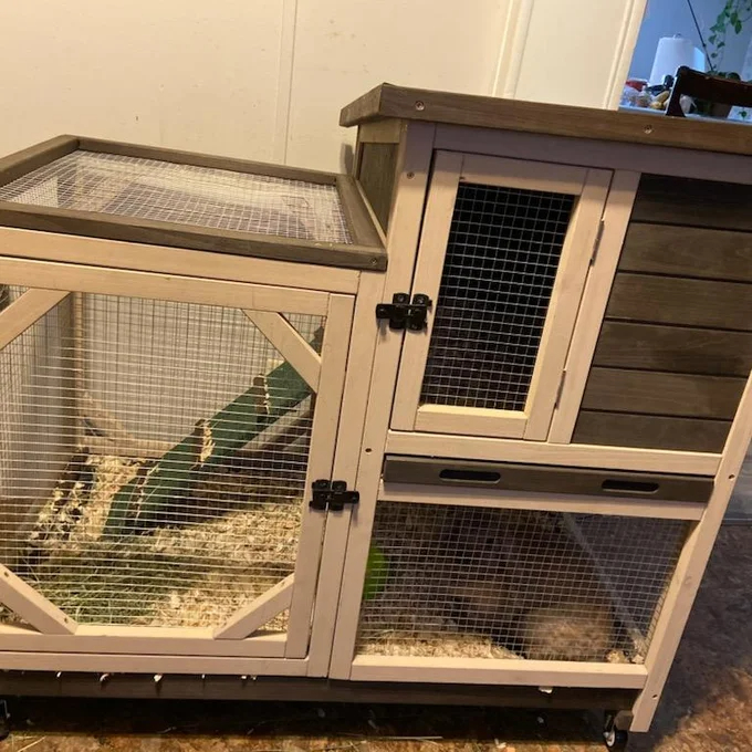 【Pet】Gossy Weather Resistant Rabbit Hutch with Ramp