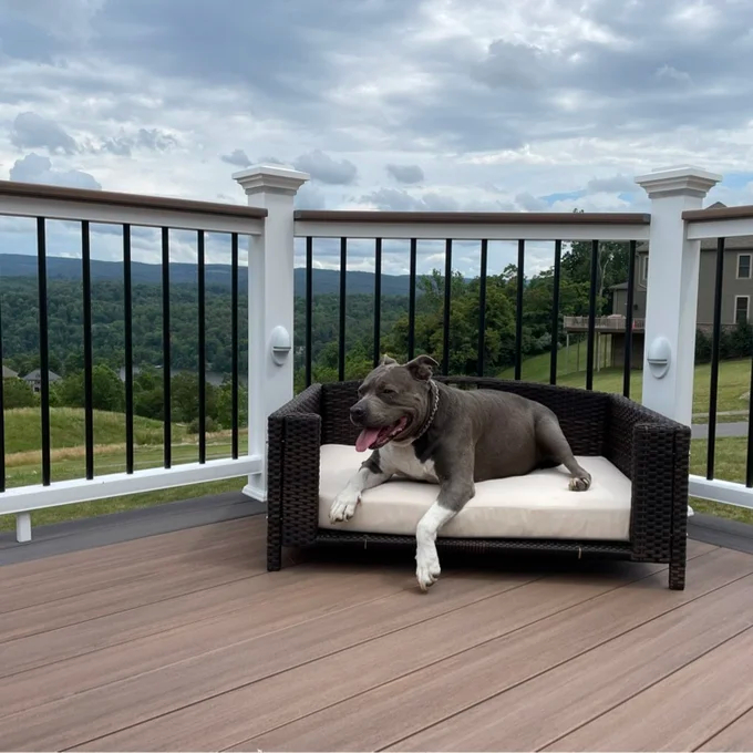 【Pet】Cristobal Rattan Rectangular Dog Sofa