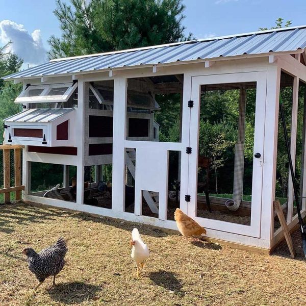 【Pet】Outdoor Chicken Coop