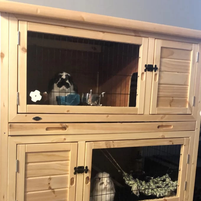 【Pet】Gatsby Weather Resistant Hutch with Ramp
