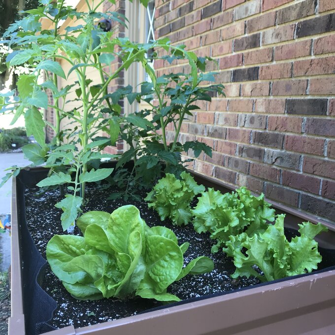 【Home&Garden】Makenna Steel Elevated Planter