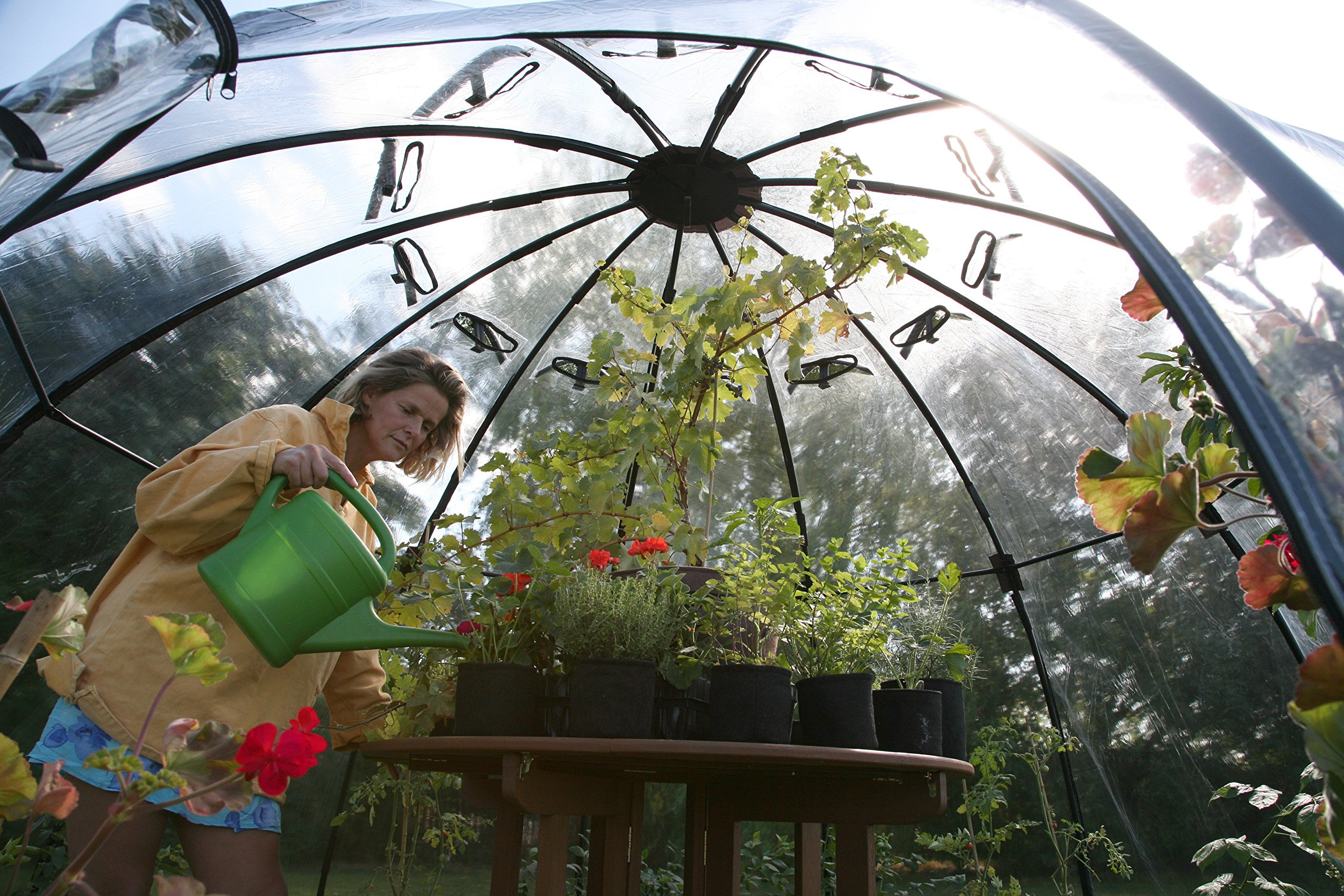 【Home&Garden】Haxnicks Garden Sunbubble Portable Outdoor Greenhouse, Garden Bed Cover & Igloo, Large