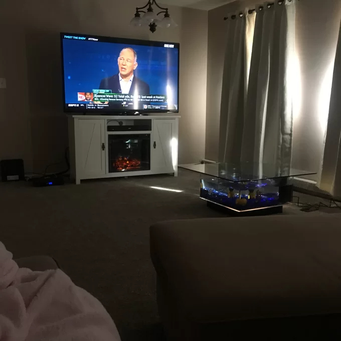 【Pet】Claire 25 Gallons Rectangle Alanrium Tank