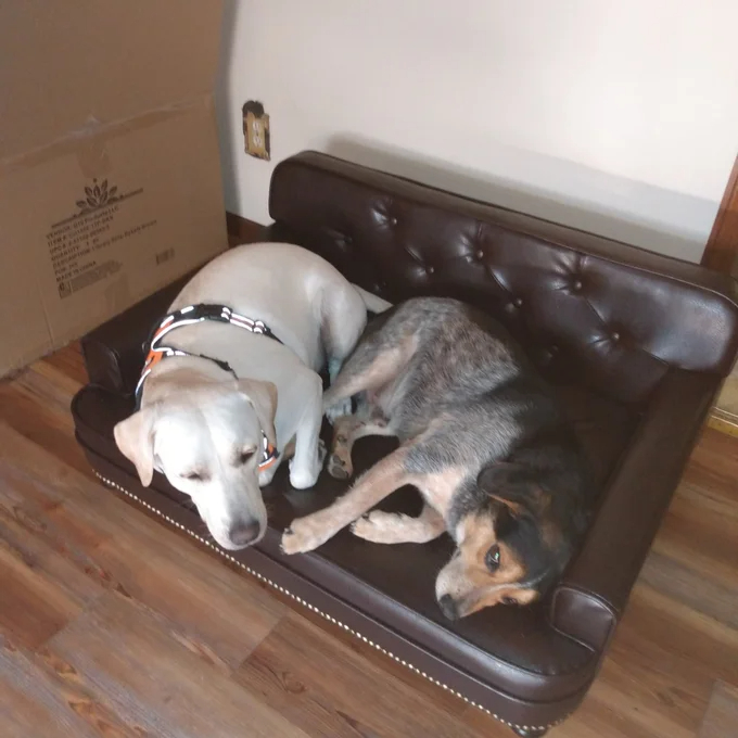 【Pet】Humphery Dog Sofa
