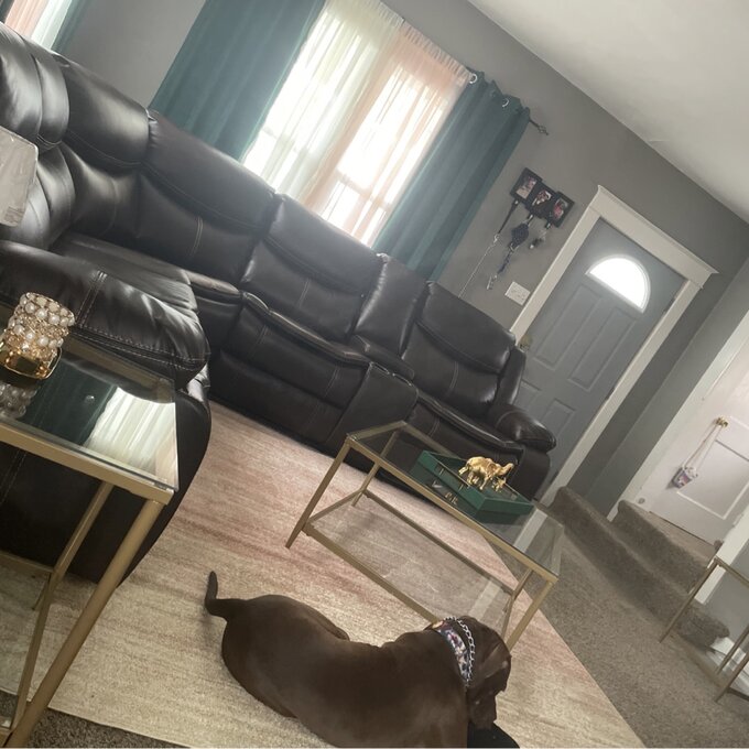 【Furniture】Mirabel 3 - Piece Vegan Leather Sectional