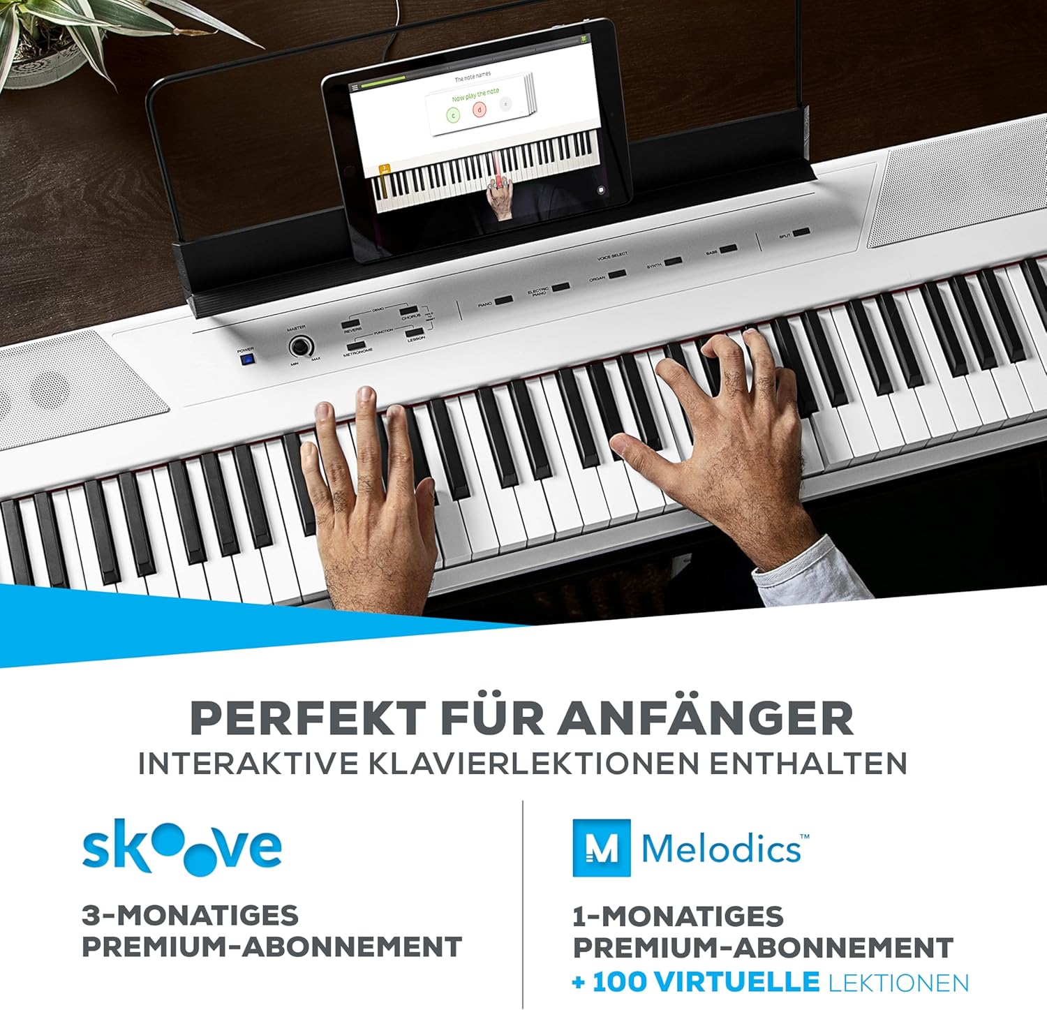 Alesis Recital - E Piano 88 Tasten für Einsteiger mit Halbgewichteten Volle Größe Klavier, Lautsprechern, fünf Premium-Stimmen, Kopfhörerausgang, Klavier Lektionen-Abo