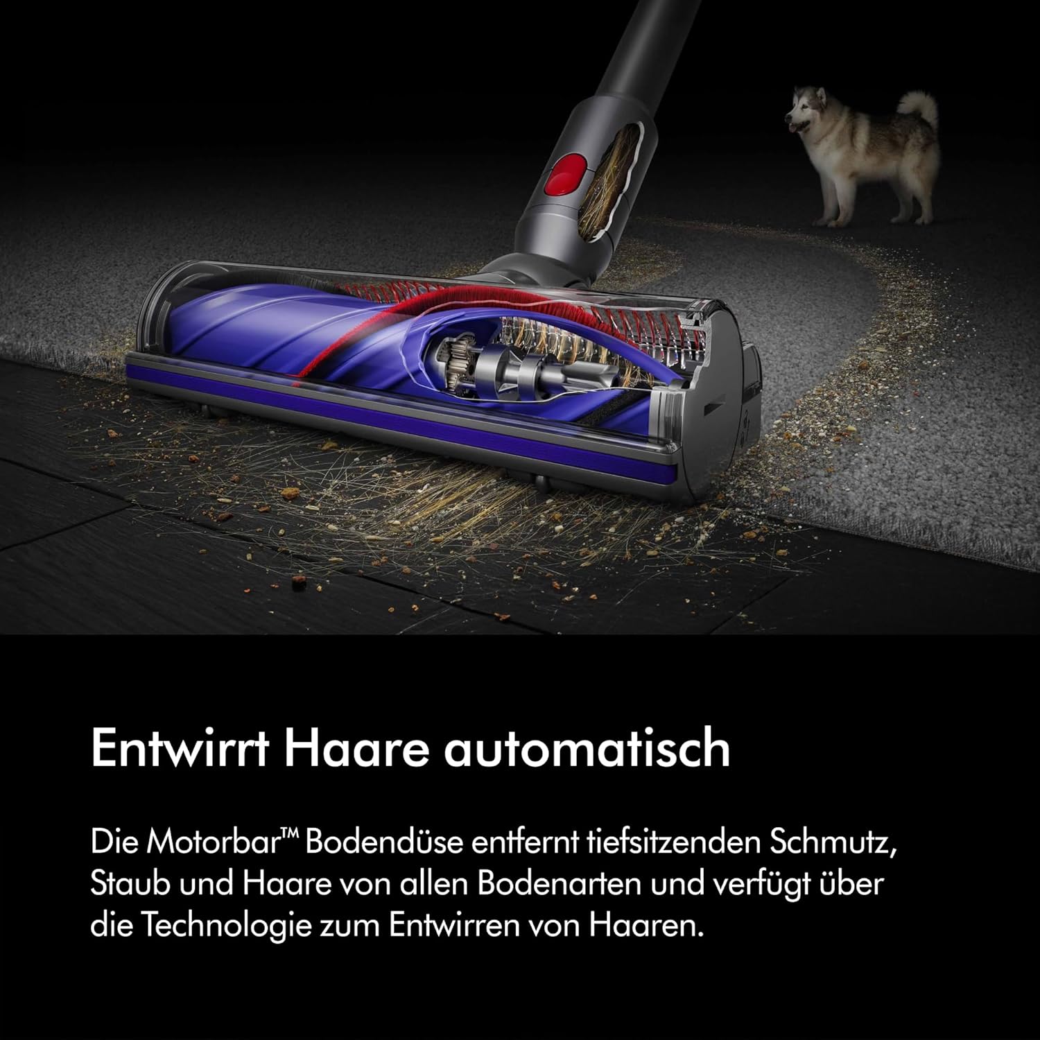 Dyson V8™ Absolute kabelloser Staubsauger (Silber/Gelb)
