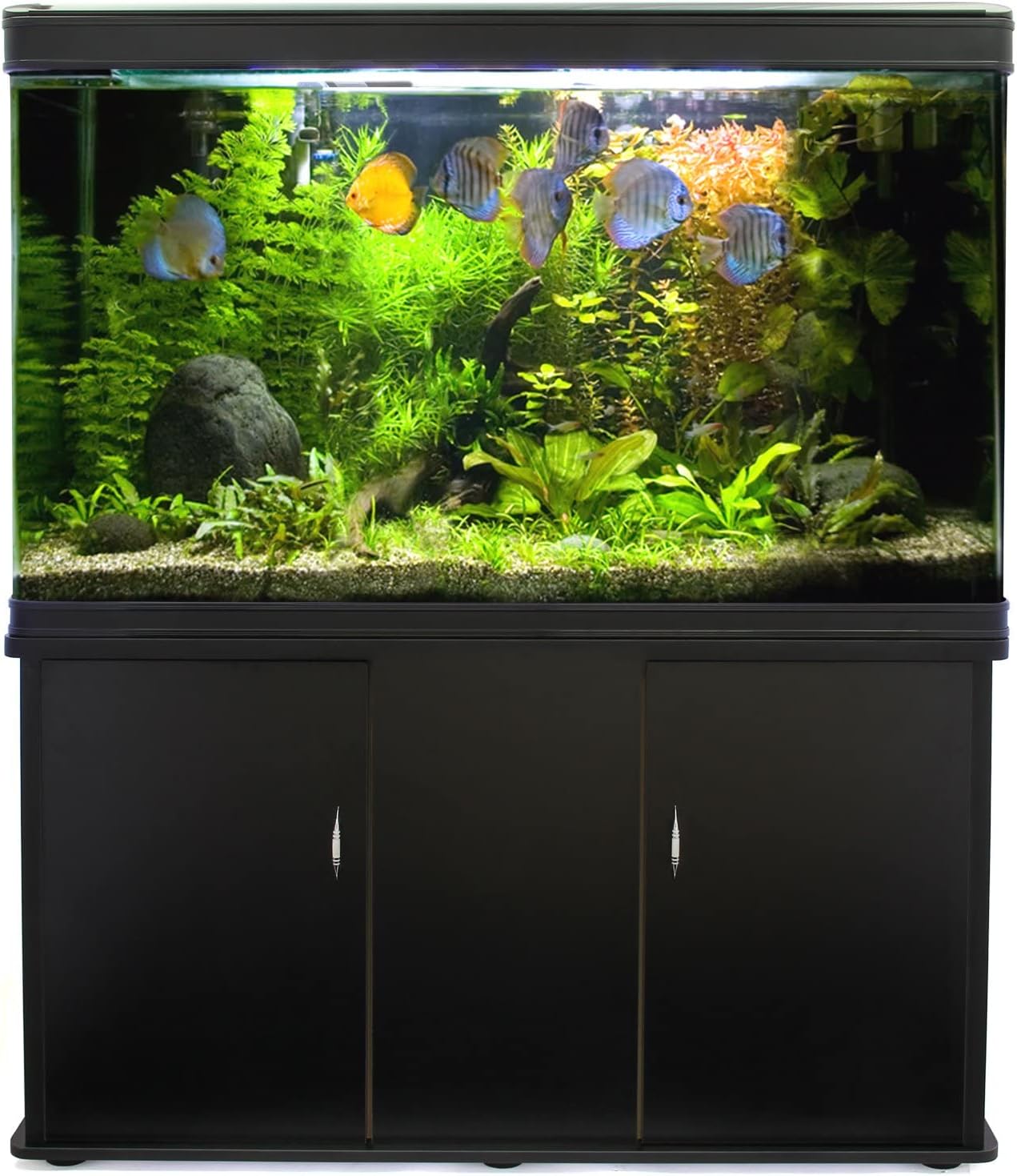 300 Liter Heimaquarium Aquarium mit Unterschrank Aquariumkobination 143.5cm H x 120.5cm L x 39cm B