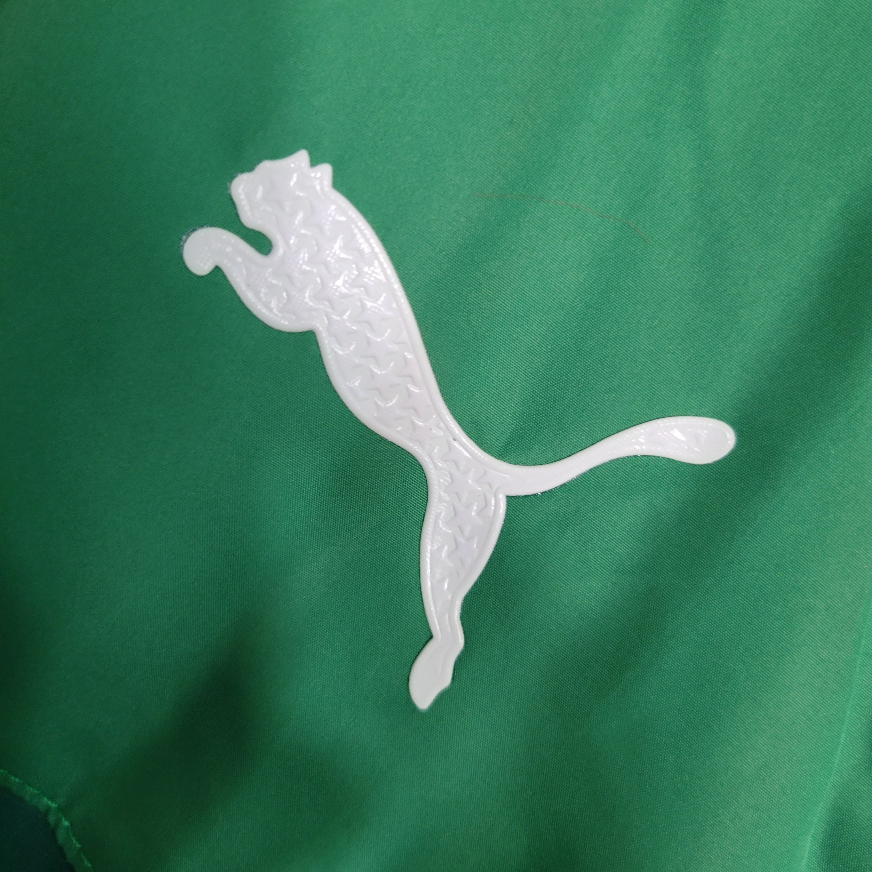 Veste / SurvĂȘtement Palmeiras 2023 2024
