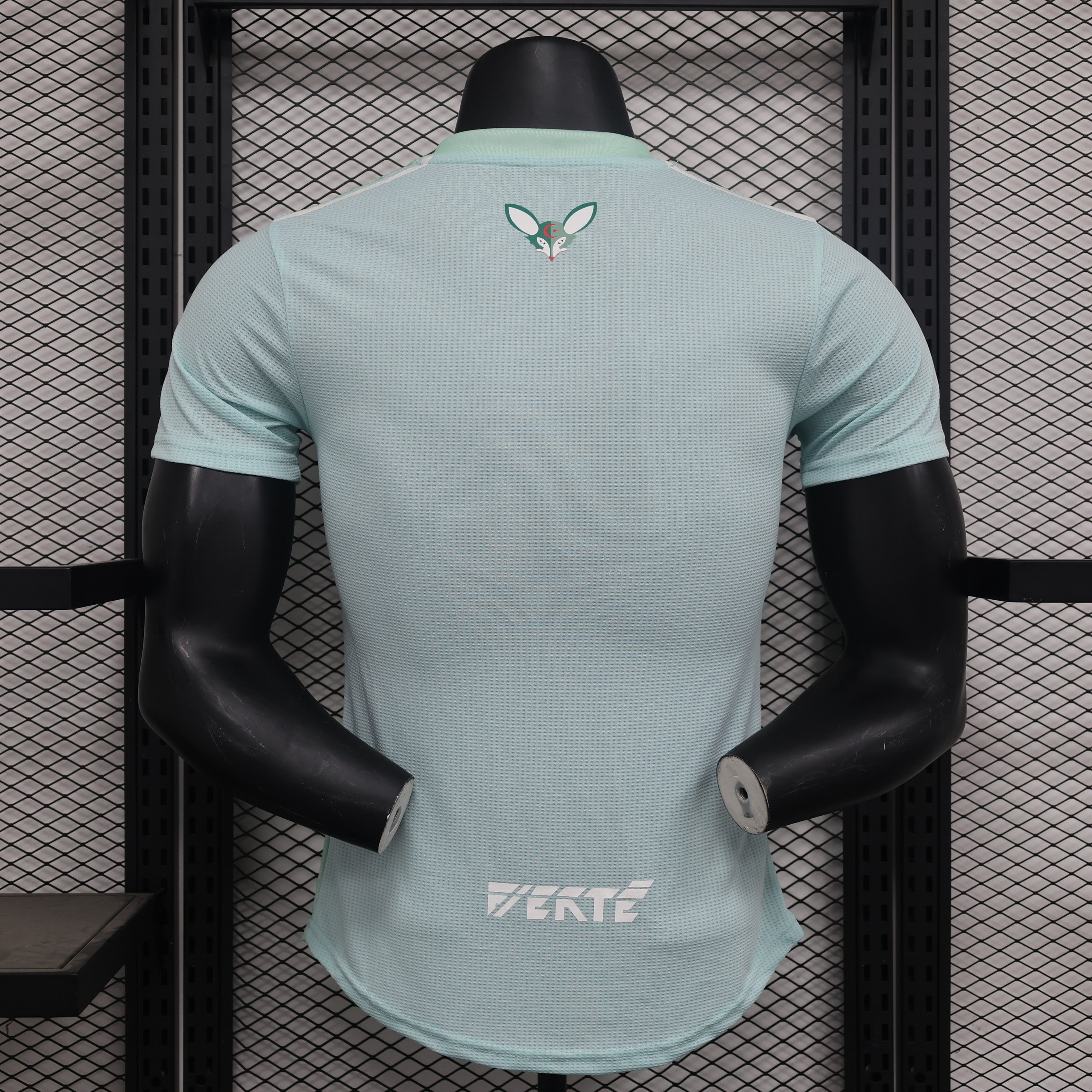 Algérie maillot foot Concept 2024 2025