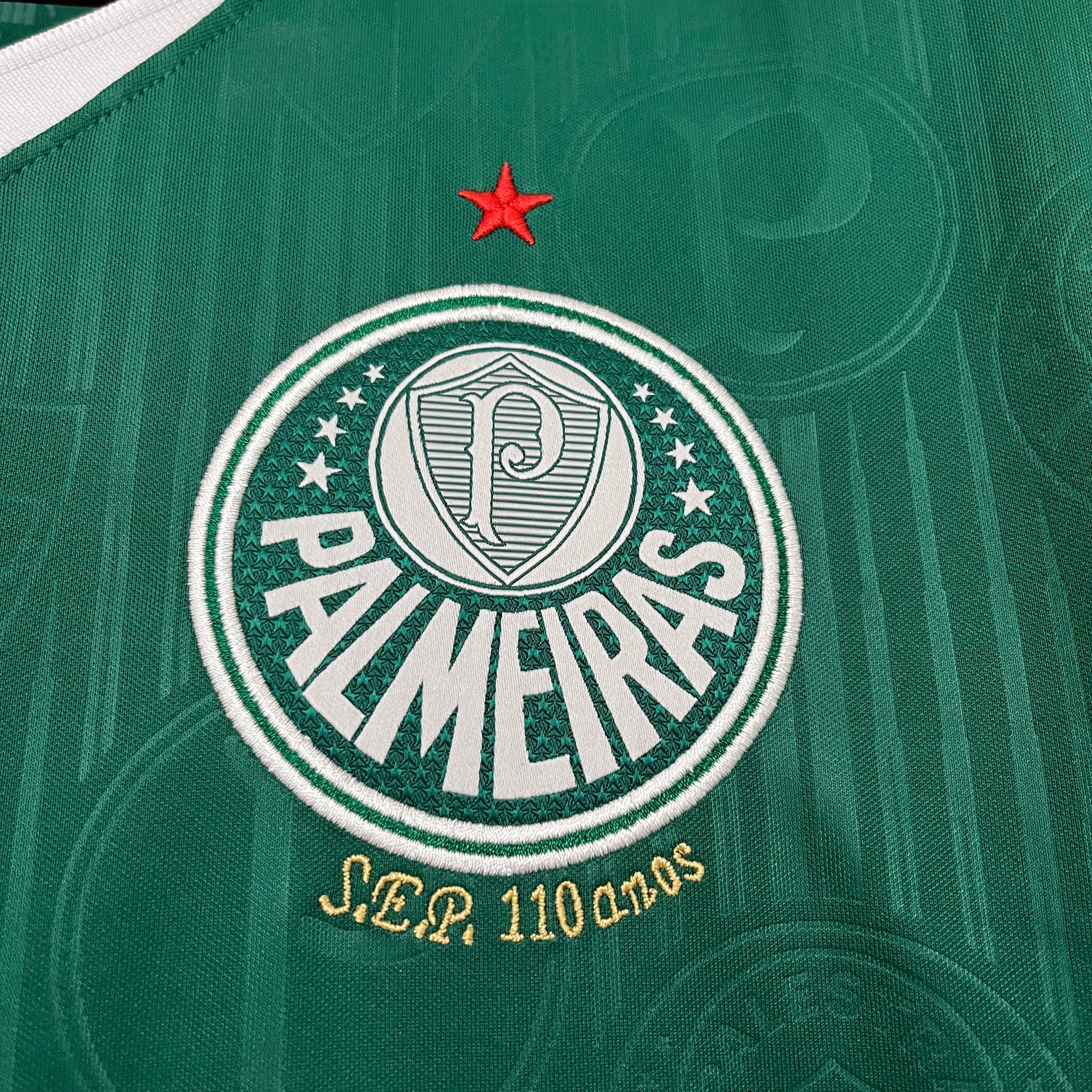 Palmeiras maillot domicile 2024 2025 Sans Sponsor€14.99
