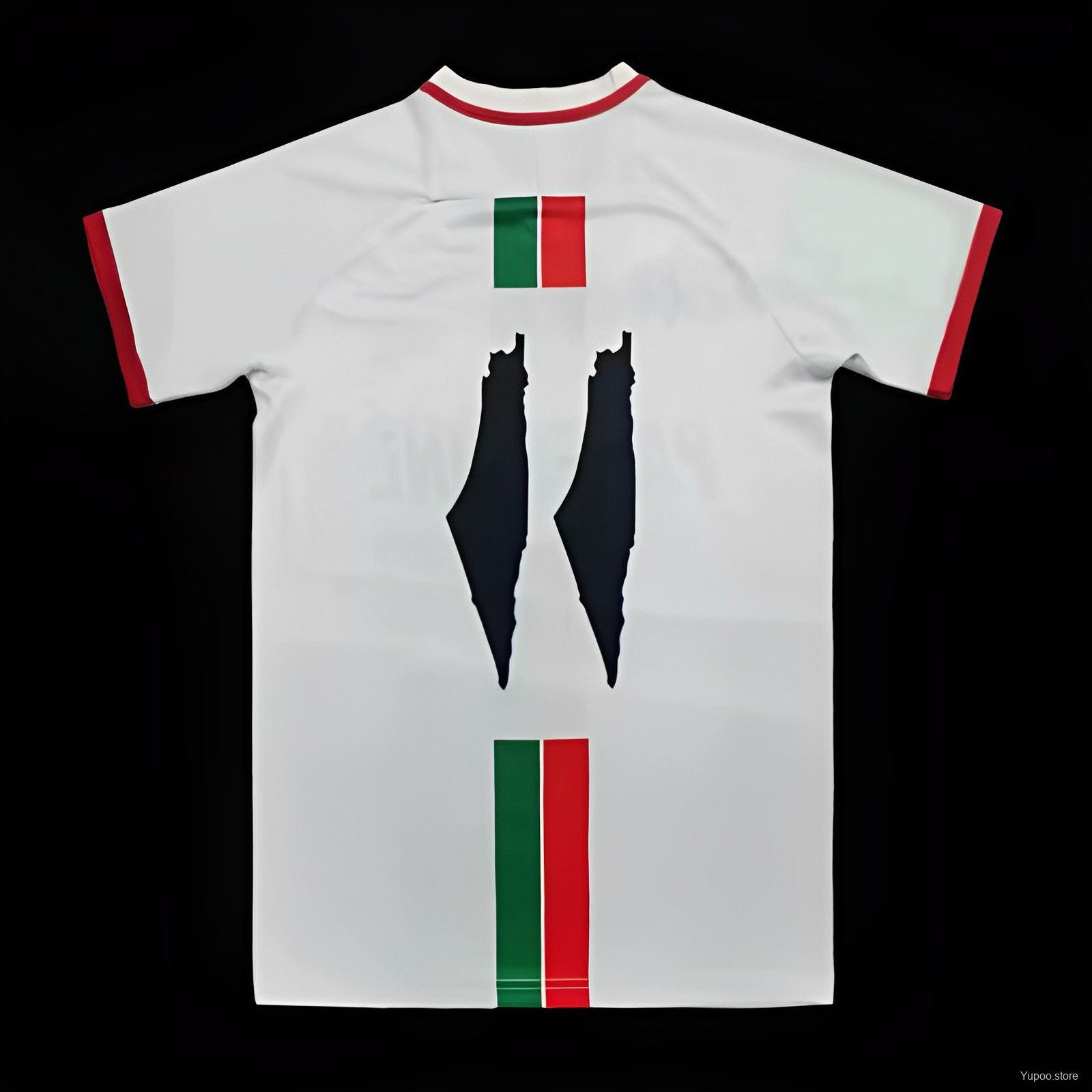 Palestine maillot foot 2023 2024€14.99