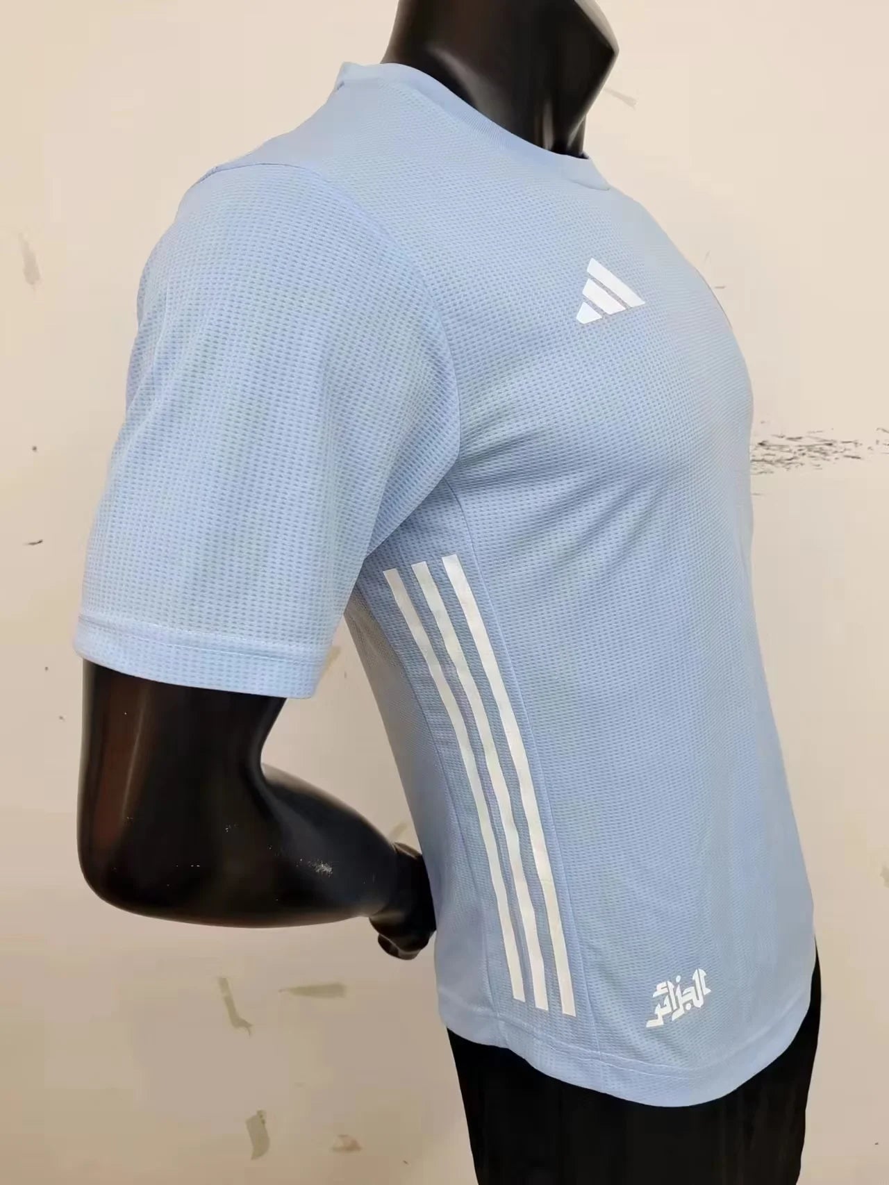 Algérie maillot 2023 2024 concept