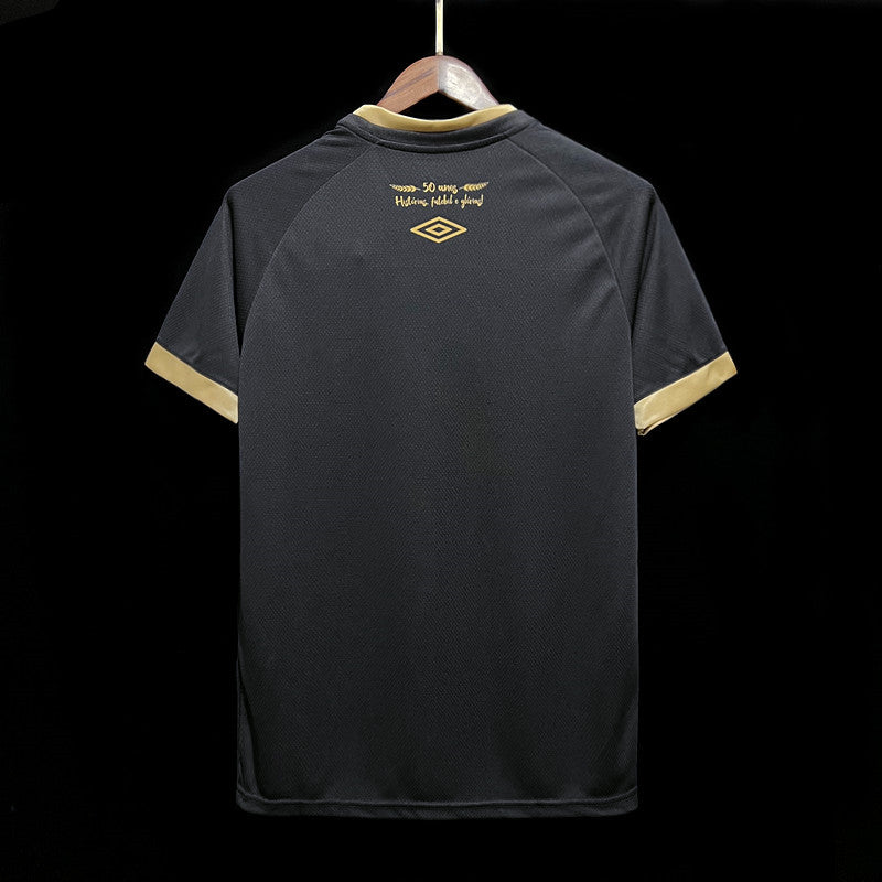 Associação Chapecoense maillot 2023 2024€14.99