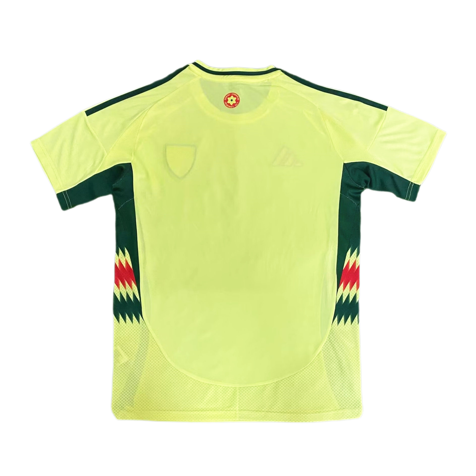 Pays de Galles maillot foot 2024 2025 extérieur