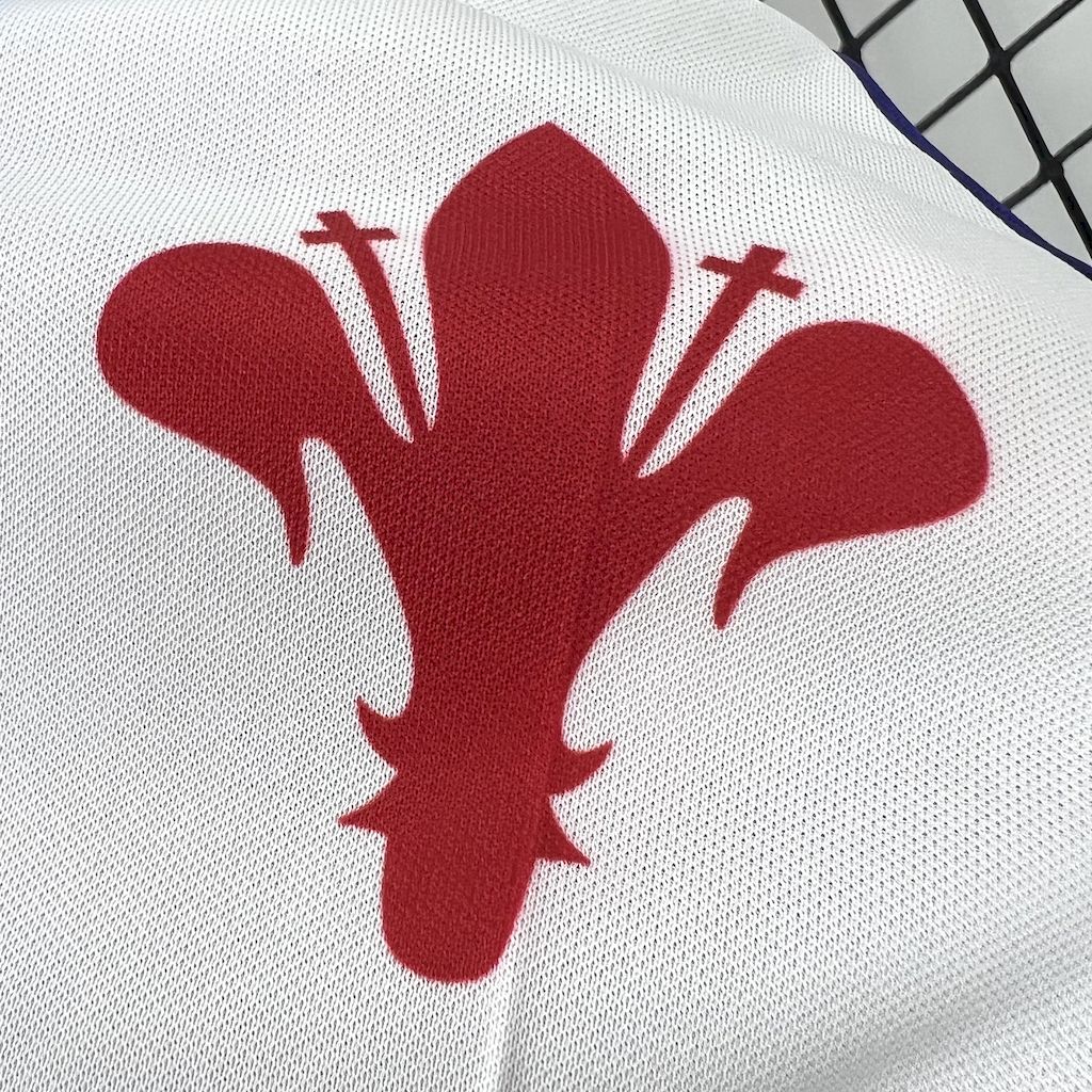 Fiorentina maillot foot 1998 1999 retro