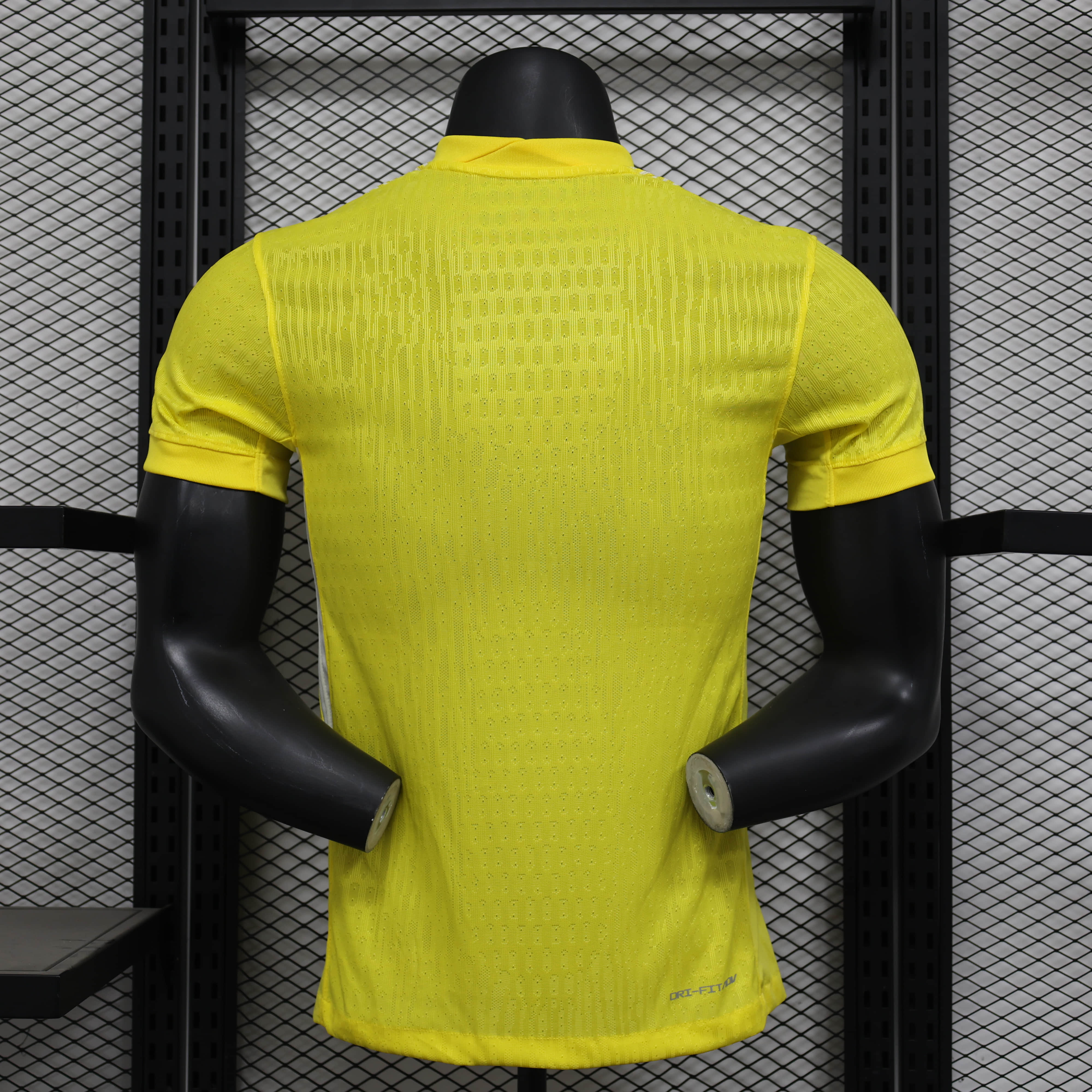 Équipe de France maillot foot  2025 2026 Euro féminin