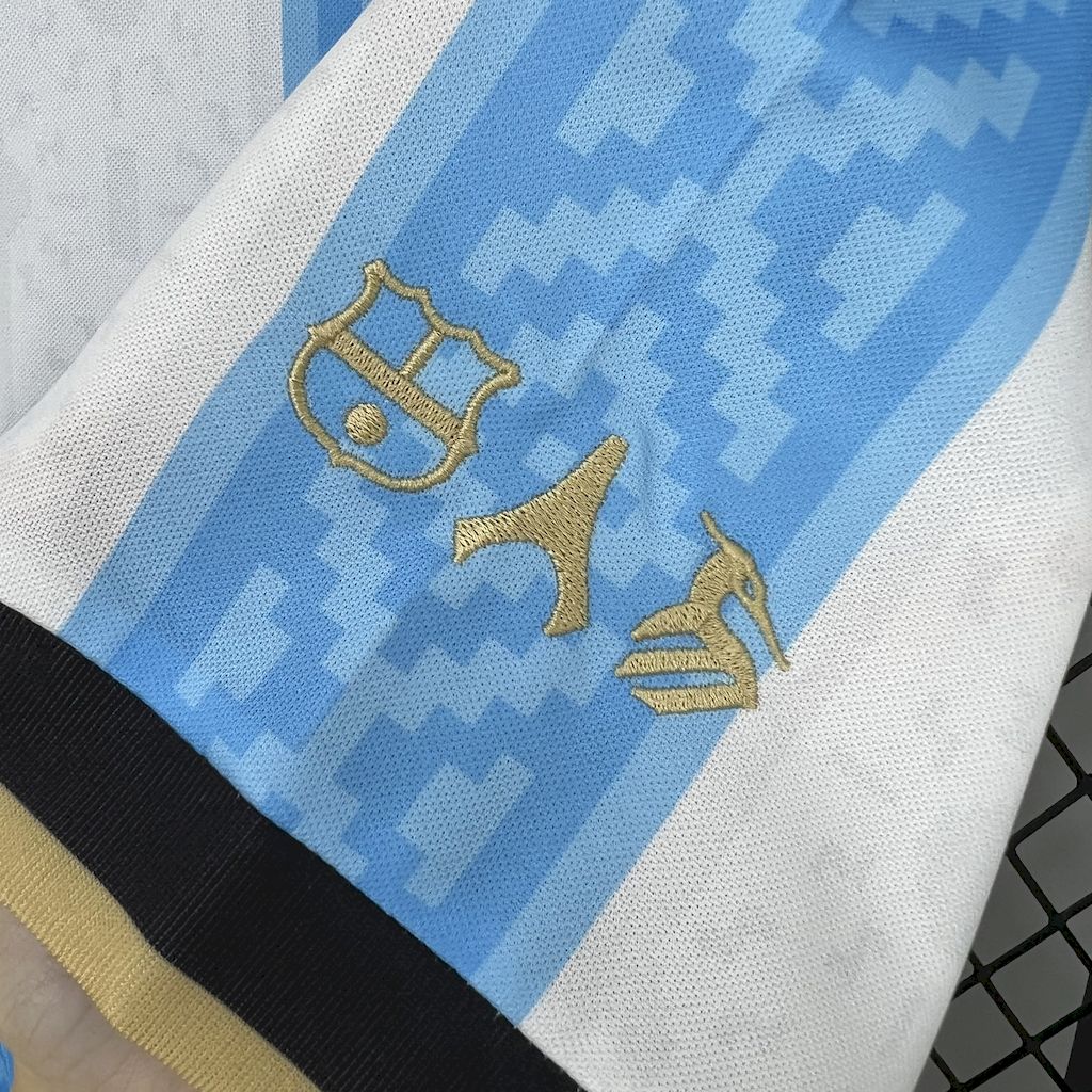 Argentine Maillot Foot 2025 2026 concept