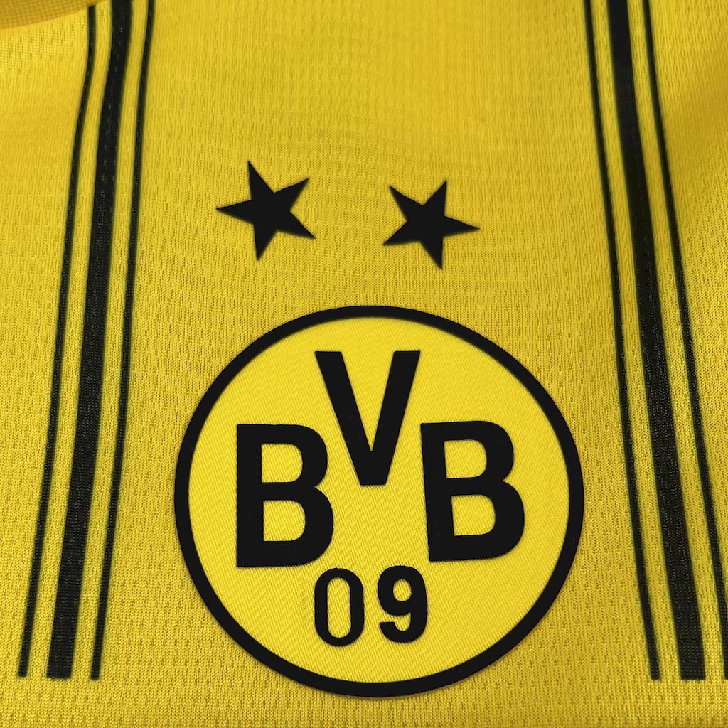Borussia Dortmund maillot foot One Piece 2025 2026