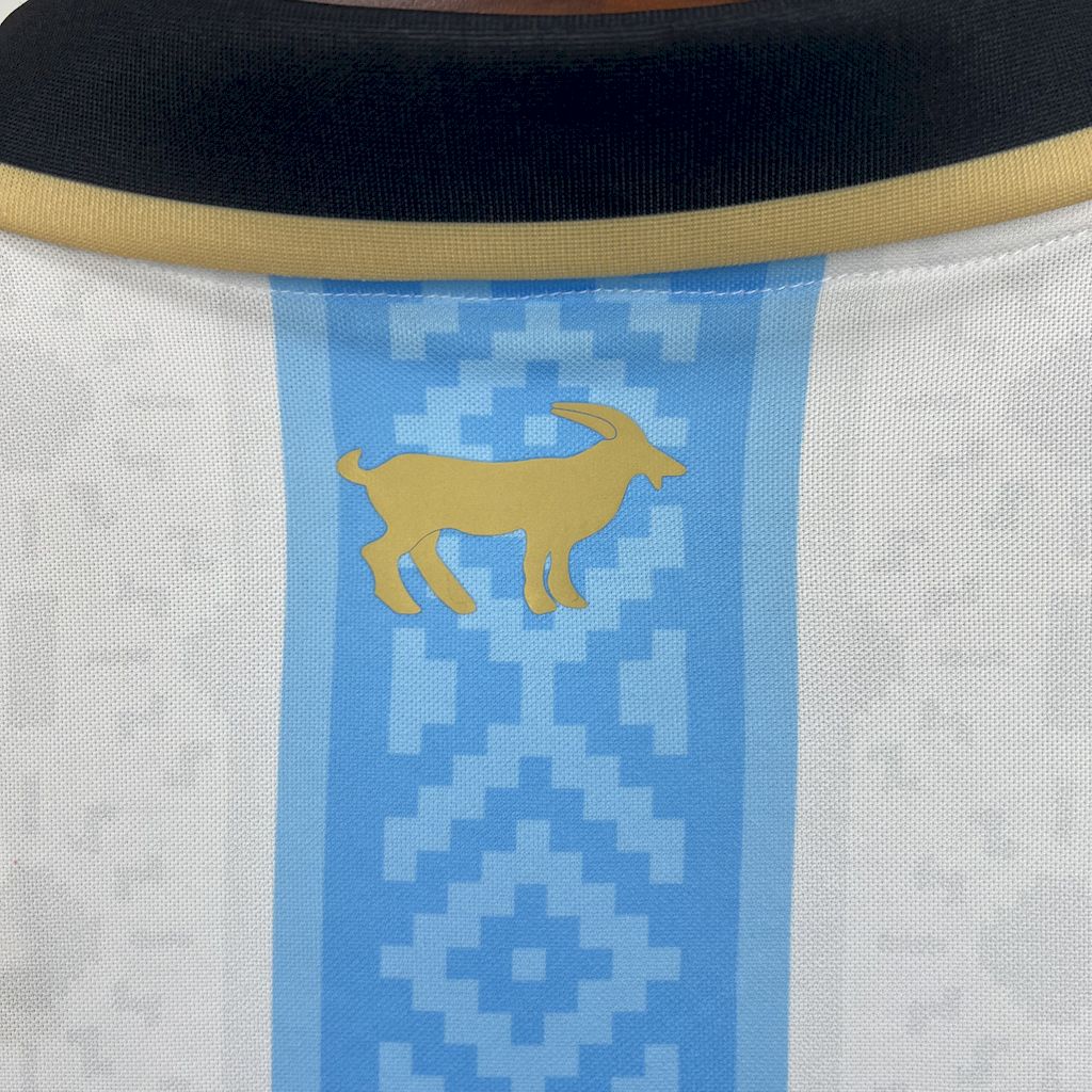 Argentine Maillot Foot 2025 2026 concept