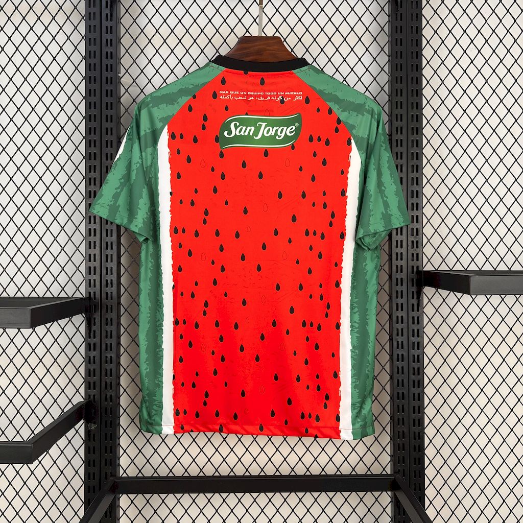CD Palestino maillot foot 2025 2026  Palestine