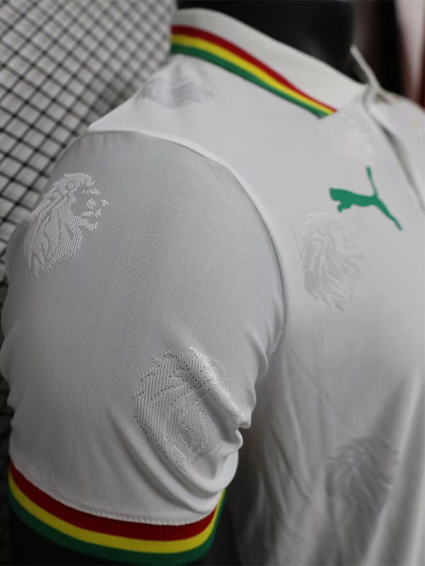 24-25 Senegal White Special Edition Player Version Training shirts