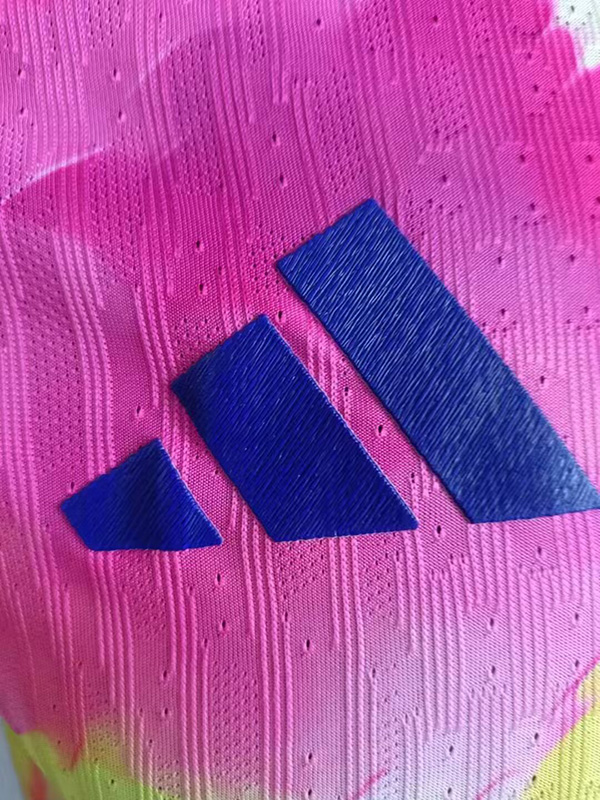 2024 Japan Yellow blue Special Edition Player Version Soccer Jersey  经典款2