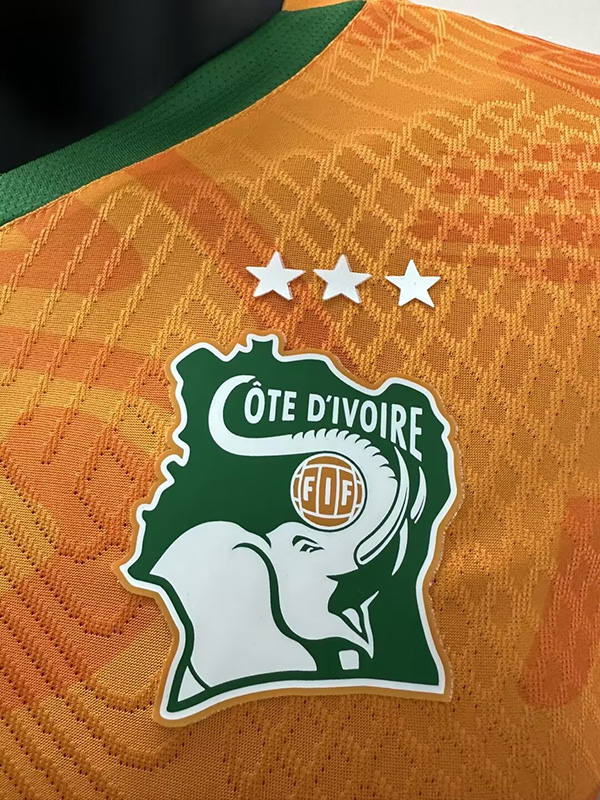 24-25 Ivory Coast Concept Edition Home Player Version Soccer Jersey