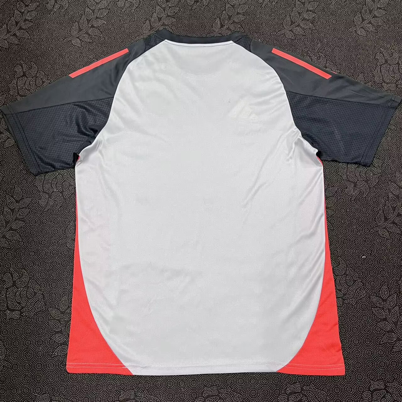 24-25 Benfica Grey Training Shirts