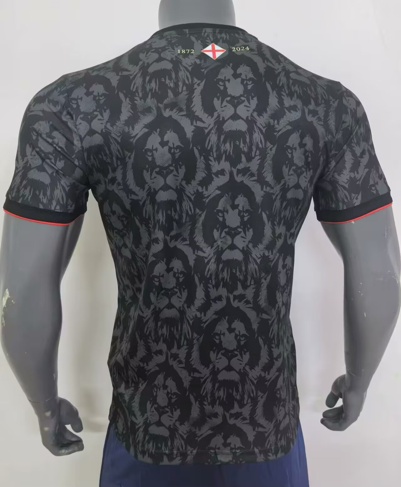 24-25 England Black Grey Special Edition Fans Soccer Jersey